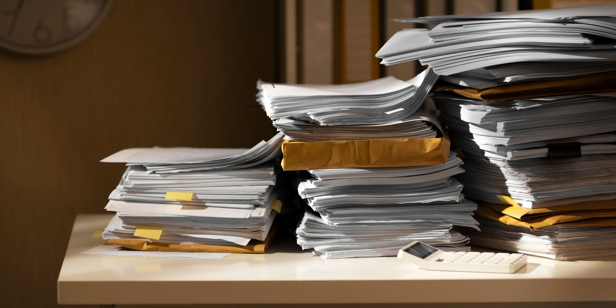 What auditors check in corporate records